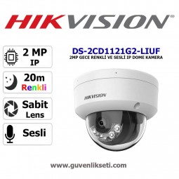 Hikvision DS-2CD1121G2-LIUF 2mp Gece Renkli ve Sesli ip Dome Kamera